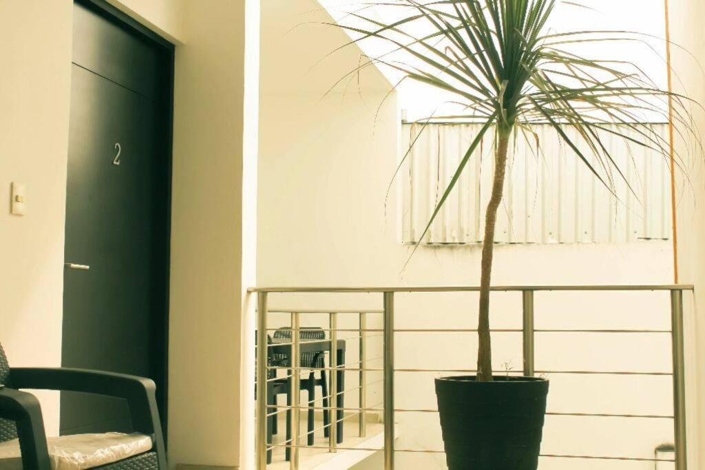 Hermoso Departamento En La Avenida Colosio Apartamento Playa del Carmen